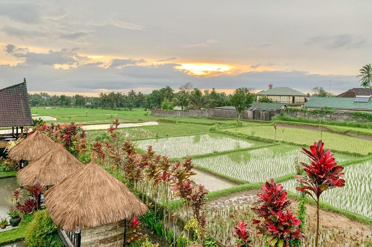 Lesehan Cahaya Tetebatu Inn Syariah At Desa Wisata Екстериор снимка