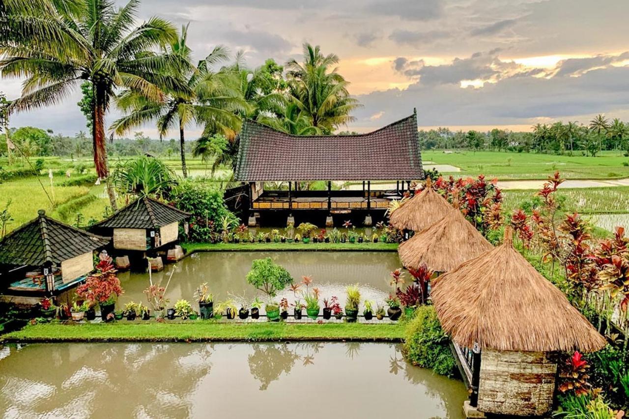 Lesehan Cahaya Tetebatu Inn Syariah At Desa Wisata Екстериор снимка